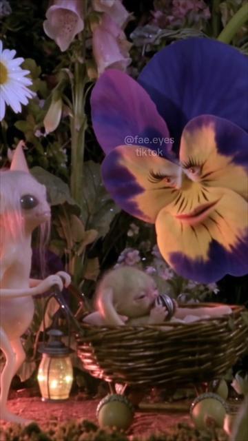 @Fae Nest