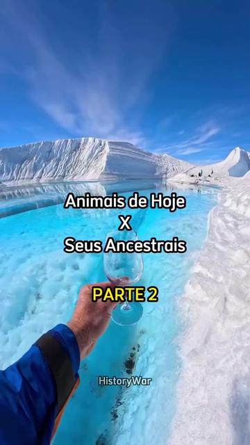 @History War