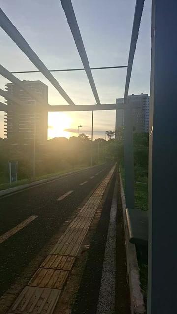 @Dolores Vasconcelos