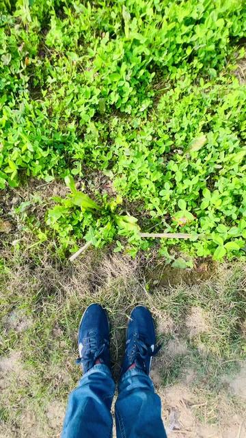 @Ahmad 🎋🌱🌳
