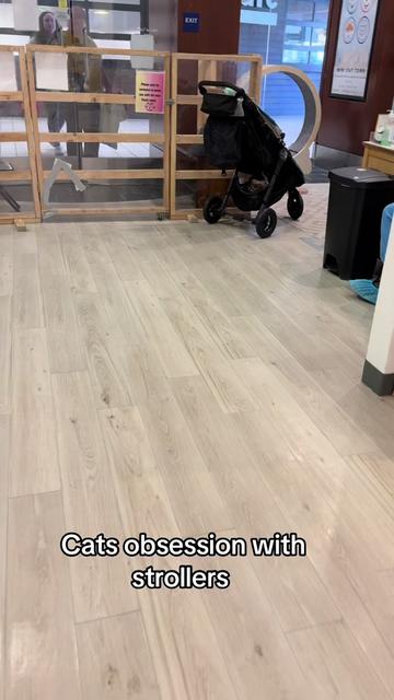 @Jyotsna’s Shop