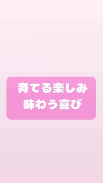 @博順会　博純苑