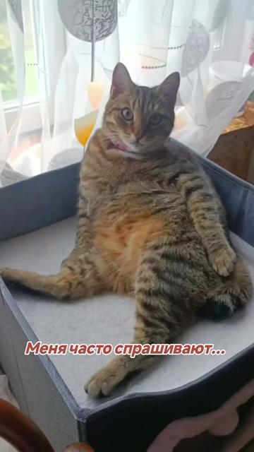 @tasha_кондитер