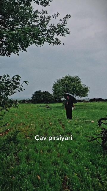 @Nejdet Yavuz