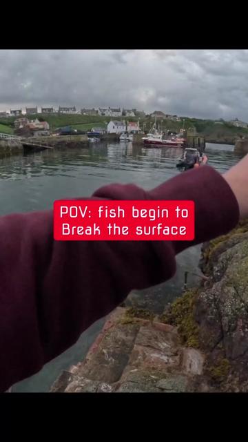 @fishingshaun