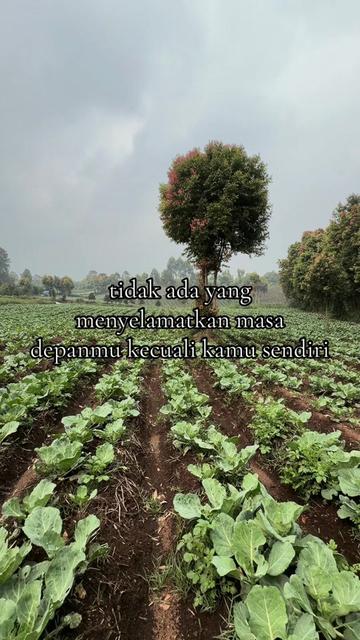 @nanda_setiawan_