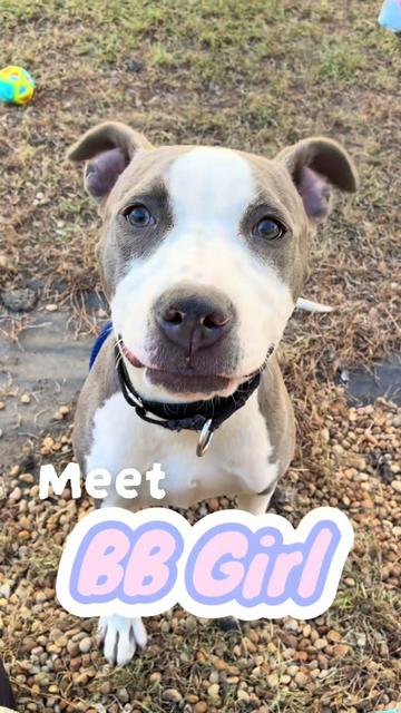 @PAWS