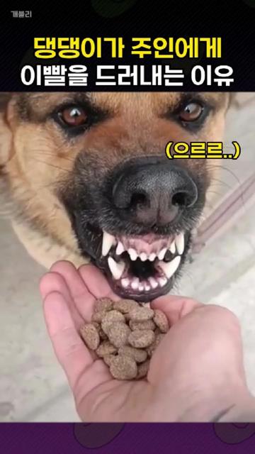 @개블리