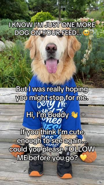 @A Golden and Fam