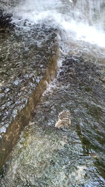 @Symphony Of Nature
