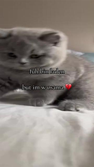 @: 
