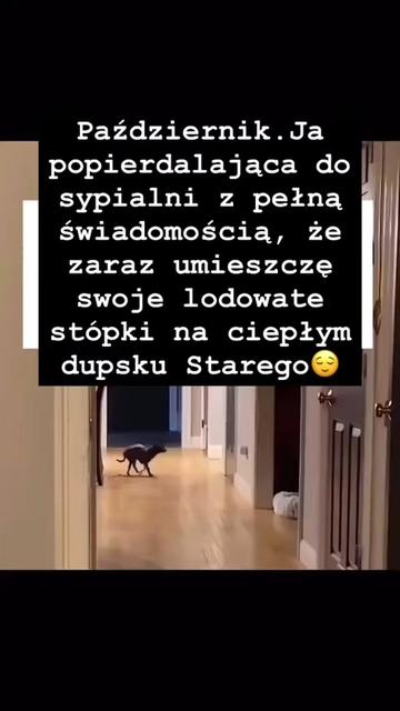 @Krzysztof W&oacute;jtowicz