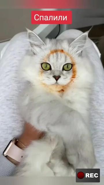 @Лариса
