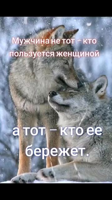 @✸Димон_Волк✸