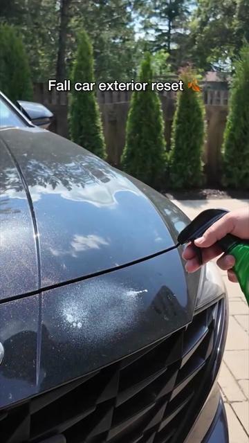@Turtle Wax