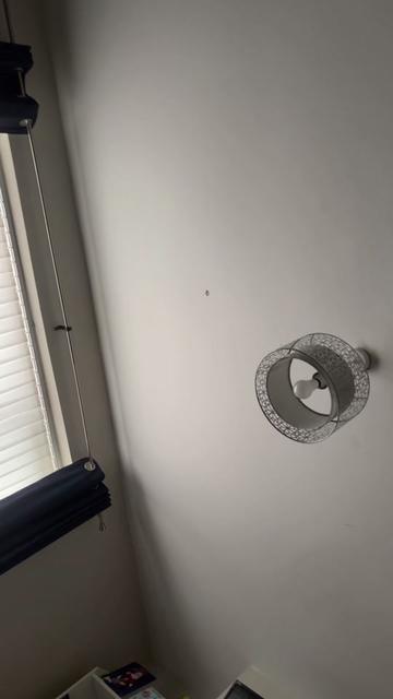@lewis🇬🇧