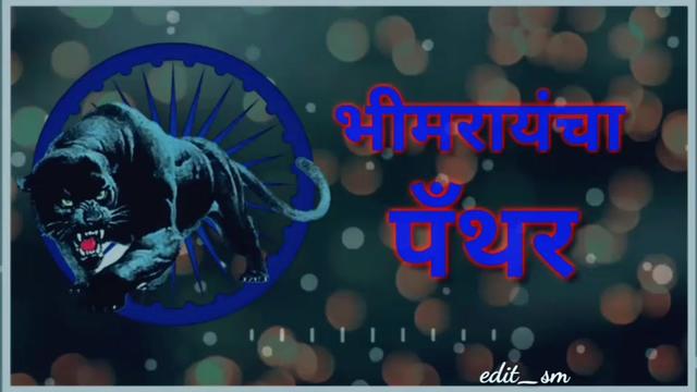 @jaybhimgyus