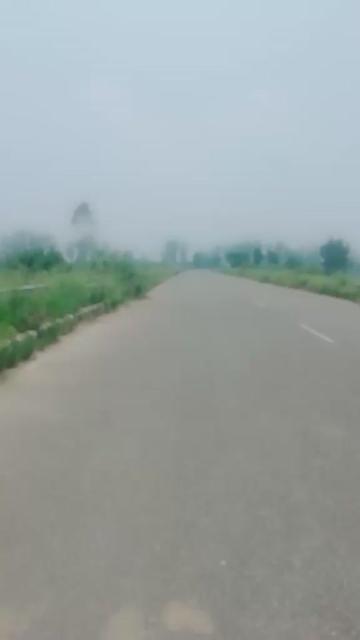 @RANJIT SINGH