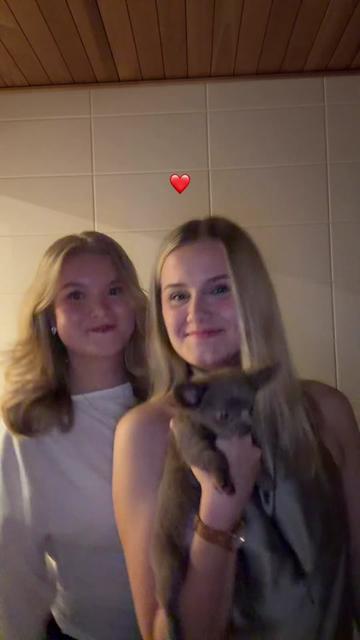 @alina