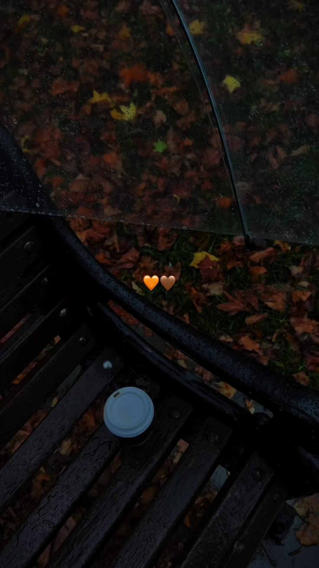 @🦢