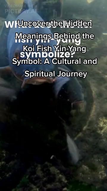 @Giovanni Carlo koi fish guy