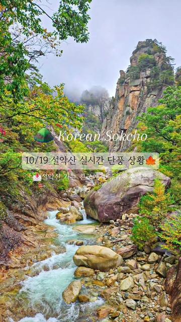 @두콩푸드
