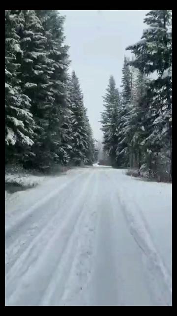 @алексей