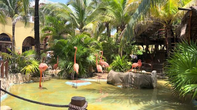 @Sirena Azul