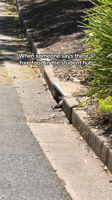 @Flinders University