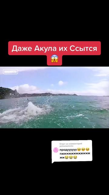 @Живность