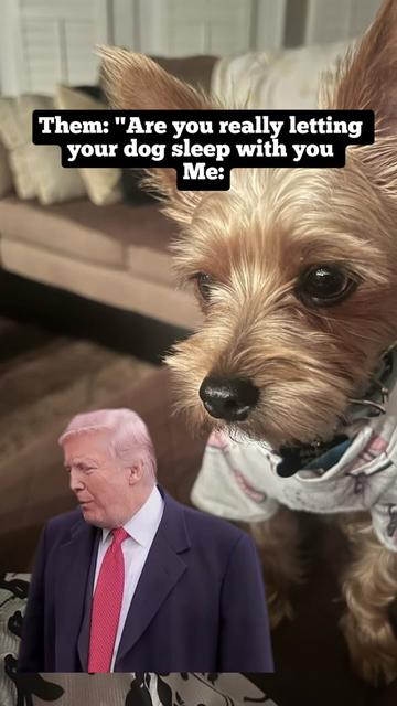 @Youandme