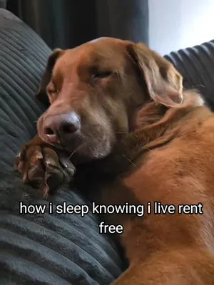 @hankinthehat