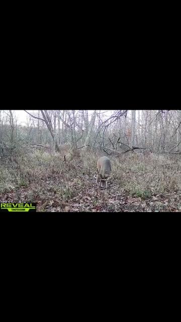 @Trophy Hollow Outfitters