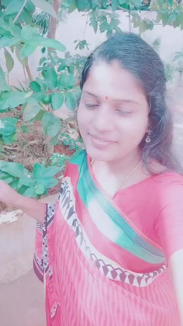 @palanidevi