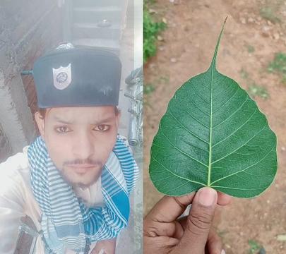 @shadap khan648