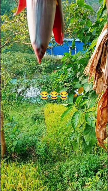 @Krishna Adhikari