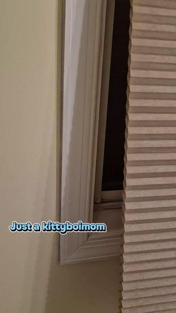 @Kittyboi