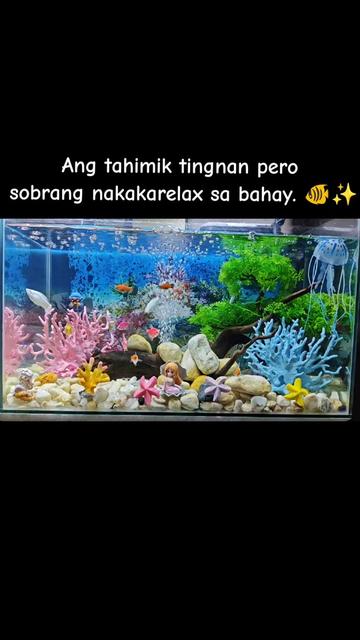 @Tath's ♡