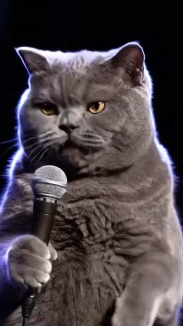 @comedyclubcats
