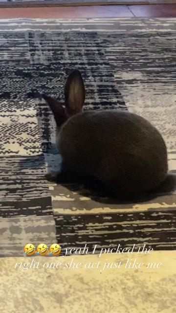 @𝐒𝐚𝐬𝐡𝐚𝐚 𝐌𝐚𝐢 ✞