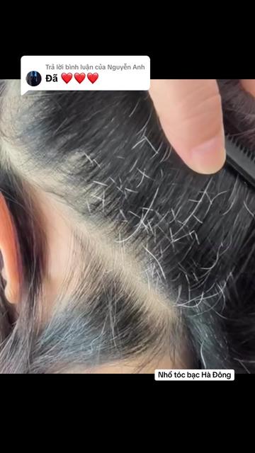 @Nhổ tóc bạc Hà Đông