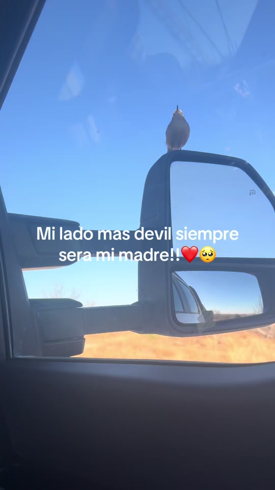 @El seven07