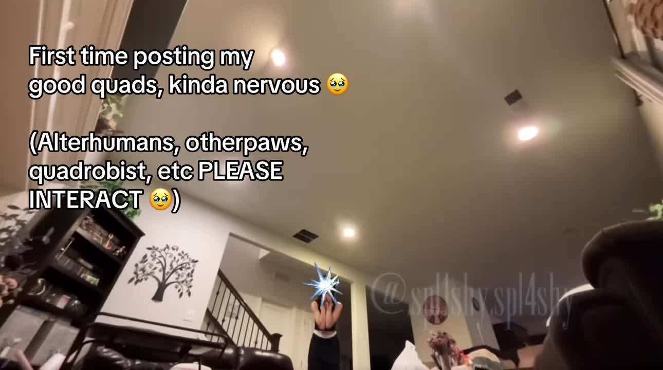 @sᴘʟɪsʜʏ.sᴘʟᴀsʜʏ ☆˚.༄ 𓆩✧𓆪