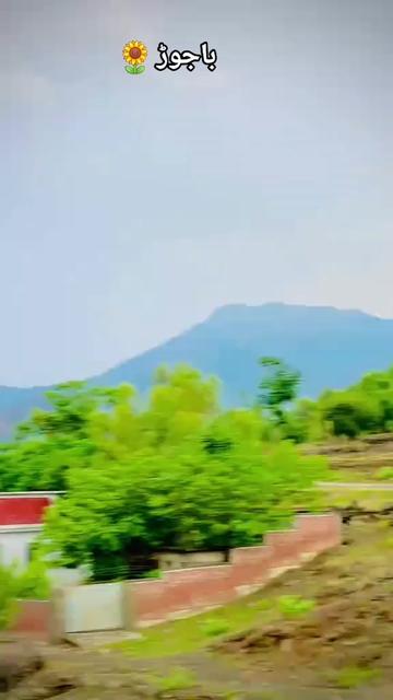 @👑 Chinar One 👑