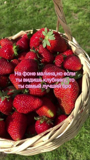 @Pinky💮