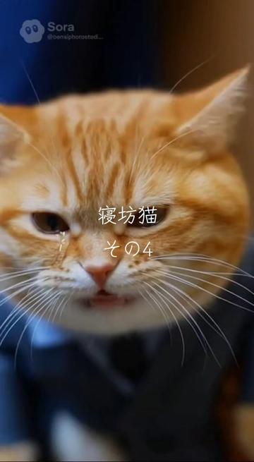 @AI動物園園長