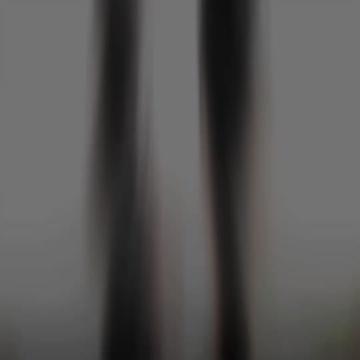 @rizpxl
