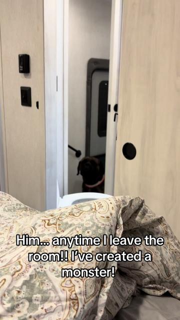 @HULK the mastiff