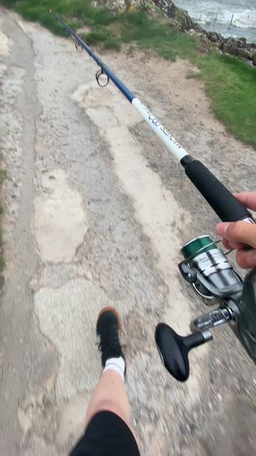 @alfie_fishes_