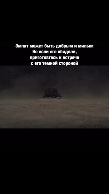 @morozova_tarot